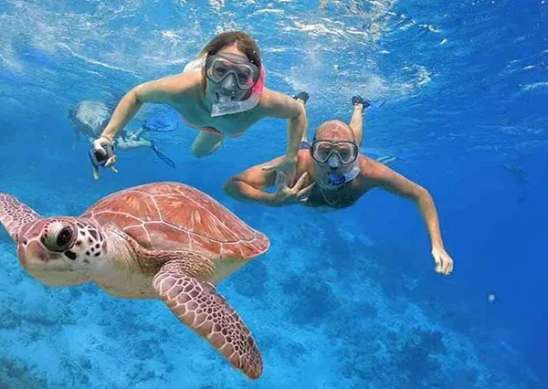 Diving and Dive Safari trips in Dahab (4)