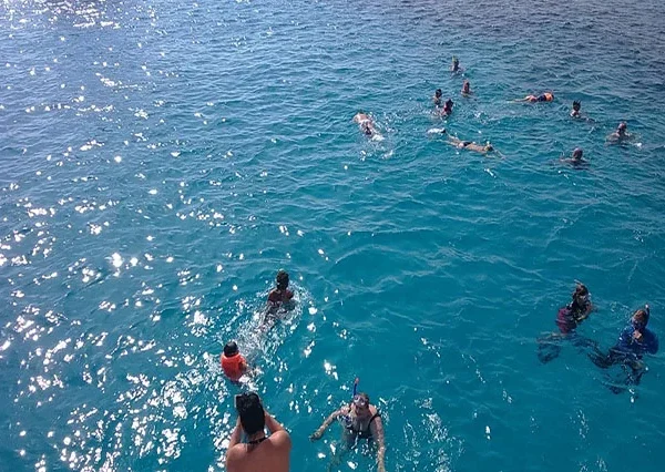 Diving and Dive Safari trips in Dahab (5)