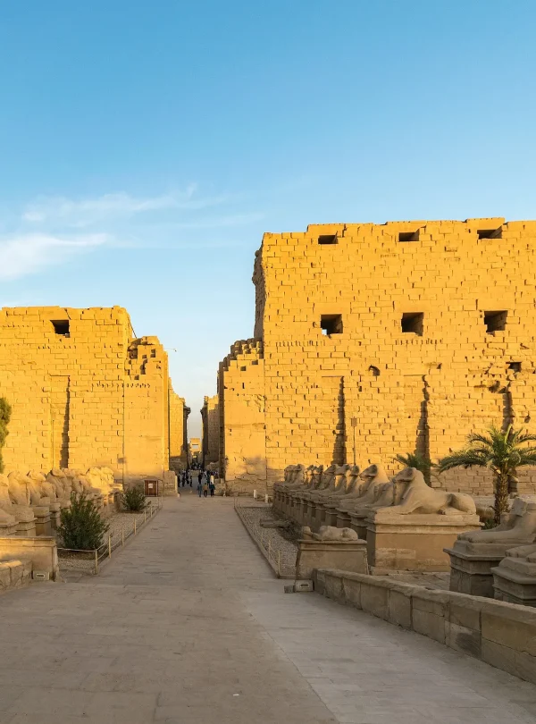 Private Tour to the East Bank of Luxor (3)