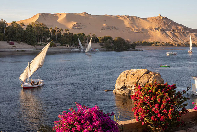 Private Tour to visit the Highlights of Aswan (2)